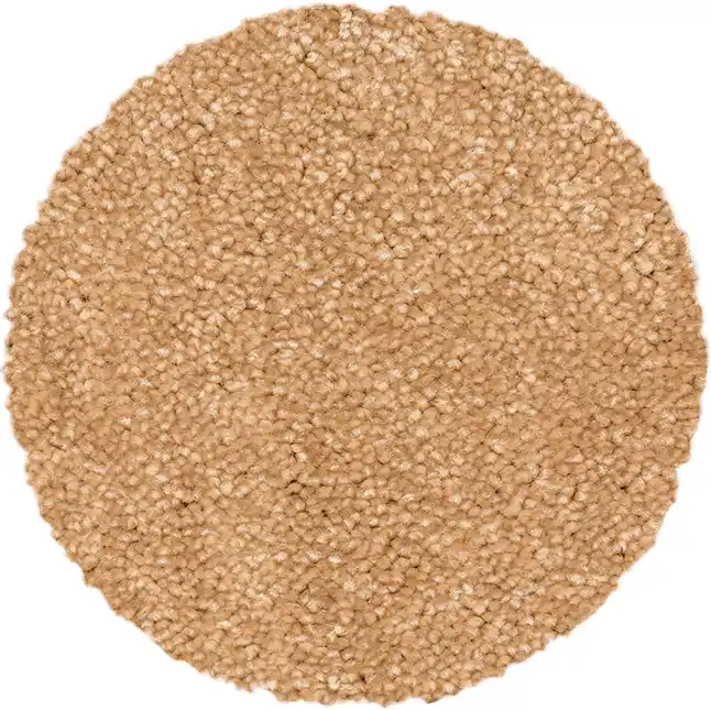 Katrina Tufted Carpet 4