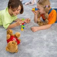 موکت نایس ظریف مصور