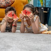 موکت تافتینگ پرشین ظریف مصور